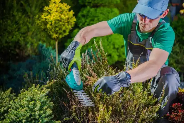 landscaping services Garden City Park